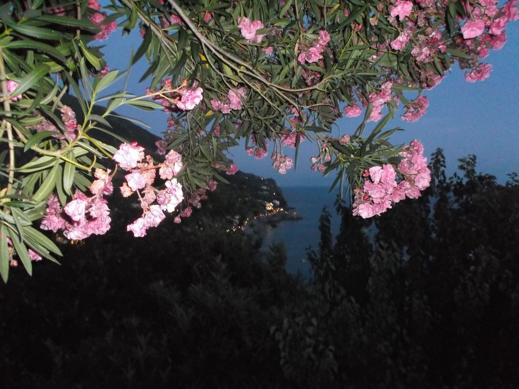 Casa Vacanze Nonno Aldo Minori Exteriér fotografie